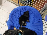 Yari  Bes.: Tajana Müller und Simon Frei