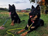 Yari und Nanouk  Bes.: Tajana Müller und Simon Frei