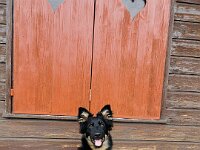 Yari  Bes.: Tajana Müller und Simon Frei