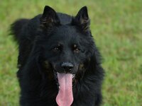 Yari  Bes.: Simon Frei