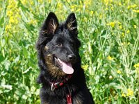 Chula  Bes.: Rosmarie Reolon