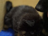 O'Chula  Foto: Rosmarie Reolon