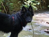 Chula  Bes.: Rosmarie Reolon