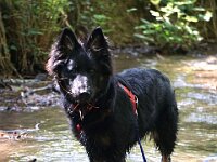 Chula  Bes.: Rosmarie Reolon