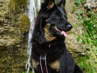 Chula  Bes.: Rosmarie Reolon