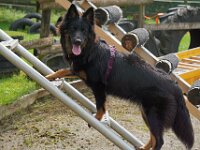 Chula  Bes.: Rosmarie Reolon