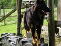 Chula  Bes.: Rosmarie Reolon