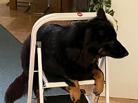 Chula  Bes.: Rosmarie Reolon