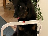 Chula  Bes.: Rosmarie Reolon