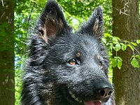 Chula  Bes.: Rosmarie Reolon