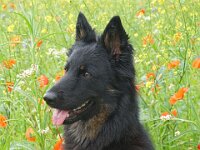 Chula  Bes.: Rosmarie Reolon