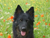 Chula  Bes.: Rosmarie Reolon