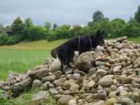 Chula  Bes.: Rosmarie Reolon