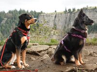 Freunde  Bes.: Rosmarie Reolon