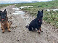 Ashanty und Chula