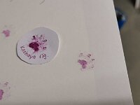 Kashaya O'Chula  Pfotenabdruck von Rosmarie's vorheriger Hündin Kashaya und O'Chula, einen Tag alt