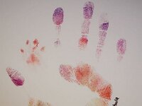 Rosmarie und O'Chula