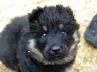O'Chula