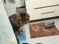 Okami  Bes.: Sändy Rechsteiner