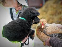 Karin und Onyx