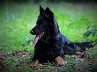 Onyx  es.: Karin Stadlin und Goofy Windler