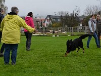Wesensprüfung  Bes.: Karin Stadlin und Goofy Windler