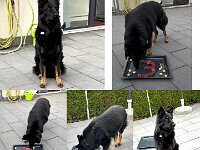 onyxWhatsApp Image 2025-11-15 at 17.08.49  Bes.: Karin Stadlin und Goofy Windler