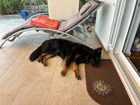 onyxWhatsApp Image 2025-12-18 at 18.29.06  Bes.: Karin Stadlin und Goofy Windler