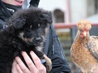 Ouray  Jeder von den Beiden denkt: "...müsste ich jetzt irgendetwas anfangen können mit dem da??"