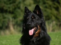 Ouray1  Bes.: Brigitte Knubel und Christian Tschirky