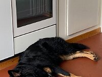 Ouray  Bes.: Brigitte Knubel und Christian Tschirky