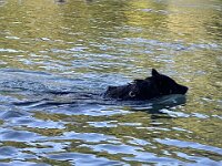 Ouray  Bes.: Brigitte Knubel und Christian Tschirky