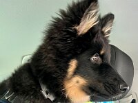 Ouray  Bes.: Brigitte Knubel und Christian Tschirky