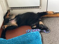 Ouray  Bes.: Brigitte Knubel und Christian Tschirky