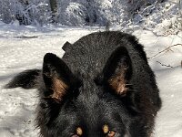 Ouray  Bes.: Brigitte Knubel und Christian Tschirky