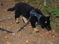 Ouray  Bes.: Brigitte Knubel und Christian Tschirky