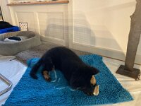 Ouray  Bes.: Brigitte Knubel und Christian Tschirky