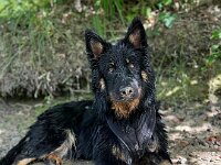 Ouray  Bes.: Brigitte Knubel und Christian Tschirky