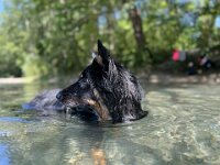 Ouray  Bes.: Brigitte Knubel und Christian Tschirky