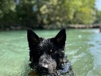 Ouray  Bes.: Brigitte Knubel und Christian Tschirky