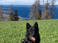 Ouray  Bes.: Brigitte Knubel und Christian Tschirky