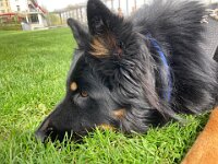 Bes.: Brigitte Knubel und Christian Tschirky  Bes.: Brigitte Knubel