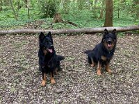 Ouray  Bes.: Brigitte Knubel und Christian Tschirky