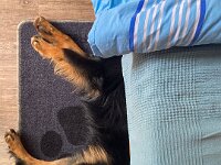 Ouray  Bes.: Brigitte Knubel und Christian Tschirky