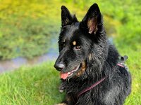 Ouray  Bes.: Brigitte Knubel und Christian Tschirky