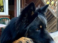 Ouray  Bes.: Brigitte Knubel und Christian Tschirky