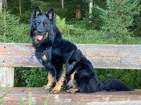 Ouray  Bes.: Brigitte Knubel und Christian Tschirky