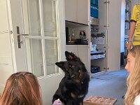 Ouray  Bes.: Brigitte Knubel und Christian Tschirky