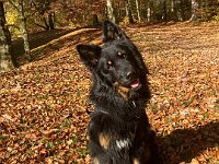 Ouray  Bes.: Brigitte Knubel und Christian Tschirky