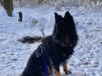 Ouray  Bes.: Brigitte Knubel und Christian Tschirky